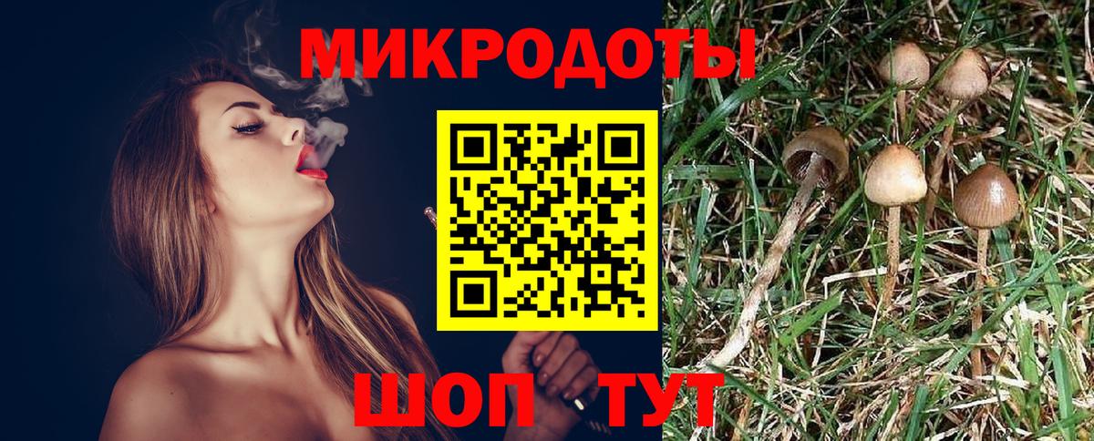 Галлюциногенные грибы прущие грибы Янаул