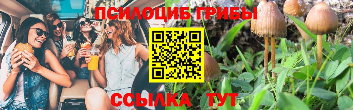 что такое наркотик  Псилоцибиновые грибы прущие грибы  Вход с VPN  Янаул 